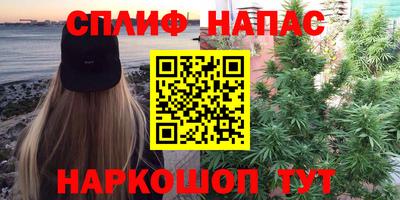 СК Можга